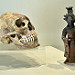 La deformazione del cranio o parti del corpo era una pratica usuale tra i maya