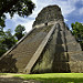 Il bellissimo Templo V alto 57m, il secondo più alto di Tikal
