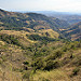 Paesaggio verso Santa Elena-Monteverde