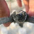 Cucciolo di tartaruga appena nato nell'Isla de Cañas - Panamá