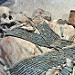 La tomba di un regnante maya (2)