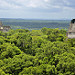 Vista della giungla che copre Tikal con i 3 templi, I II e III