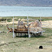 Vedo in lontananza le prime barche di totora in fase di costruzione (lago Titicaca minore)