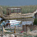Una barca fatta con le totora (canne del lago Titicaca)