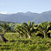 Vista delle prime montagne della Sierra Nevada de Santa Marta