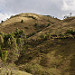 Le colline verso Popayán