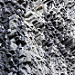 Le forme curiose della parete rocciosa chiamata Los Ladrillos