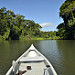 Raggiungo in canoa i canali dentro il Parque Nacional Tortuguero