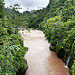 Il rio Mocoa (2)