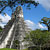 Rovine Maya di Tikal - Guatemala